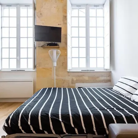 Appartement Quartier St Michel Climatise Pres Des Quais Avec Parking Μπορντό